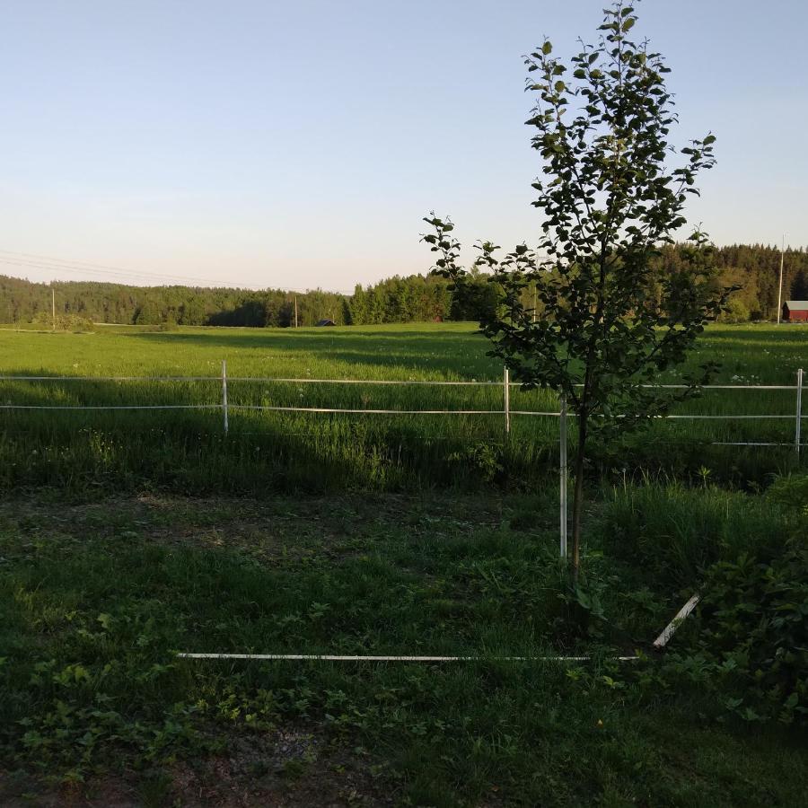 Countrycabin Bergslagen Stuga Ramsberg Exterior photo